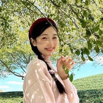 毁灭者海报